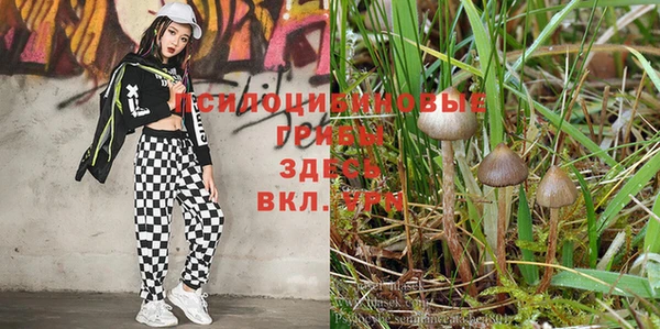 молекула духа Покровск